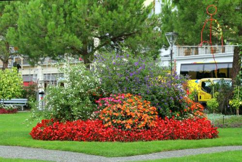 17.09.4595ас. Гимнаст в цветочном интерьере..jpg