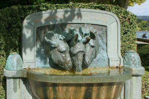 17.09.4972а. Водопой..jpg