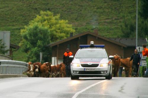 17.09.1854а. Весёлые ребята по-австрийски..jpg