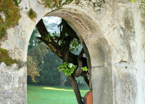 17.09.5421а. Старый парк..jpg