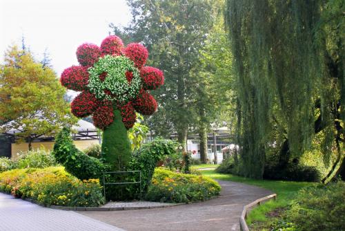 17.09.8465ас. Майнау..jpg