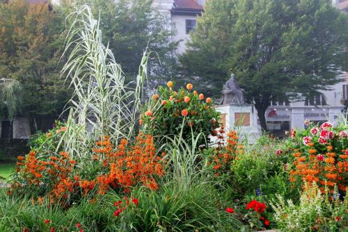 17.09.5332а. Цветущий город..jpg