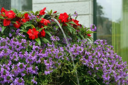 17.09.3113а. Люцерн..jpg