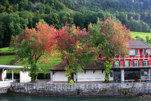 17.09.3365ас. На озере Четырех Кантонов..jpg