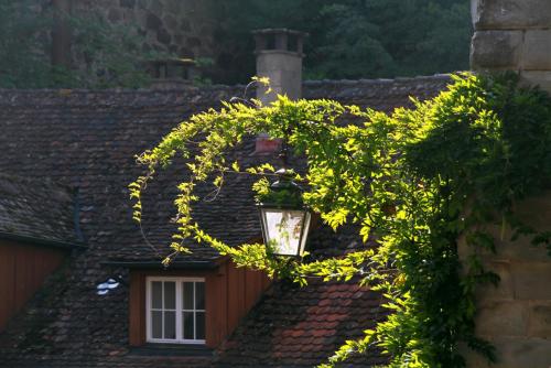 17.09.8911а. Свет и тени..jpg