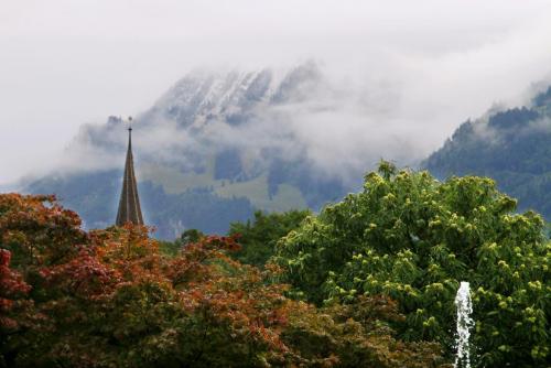 17.09.3479а. Когда город - царство природы..jpg