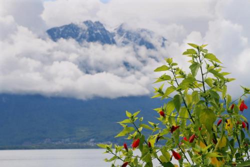 17.09.4634а. Набережная Женевского озера в Монтрё..jpg