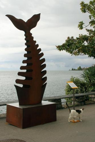 17.09.4585а. На всякую пиранью найдется кот..jpg