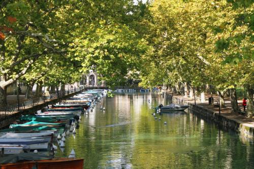 17.09.5618а. Платановые аллеи на канале Вассе..jpg