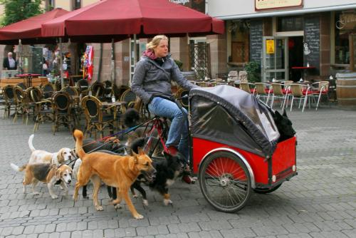 17.09.10526а. Коллективная прогулка..jpg