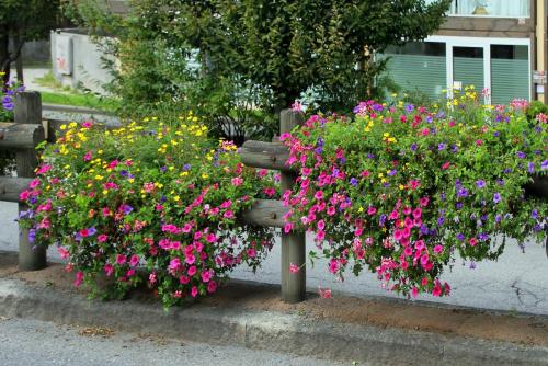 17.09.6116а. Шамони..jpg