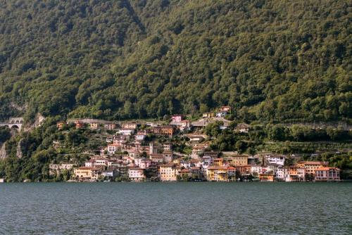 17.09.7837ас. Побережье Луганского озера..jpg