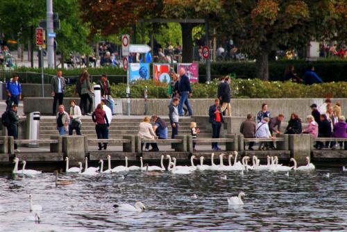 17.09.2901а. Набережная реки Лиммат в Цюрихе..jpg