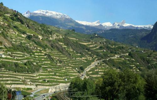 17.09.6617а. Террасные виноградники в кантоне Вале..jpg
