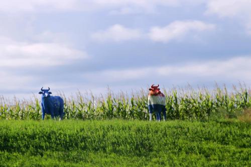 17.09.0932а. Аграрные парадоксы Евросоюза..jpg