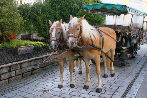 17.09.1271а. Чтобы их запрячь, здесь конюх не нуждается Ни в трамвае, ни в такси и ни в метро..jpg