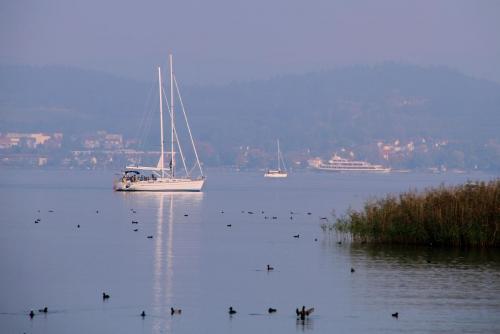 17.09.8455а. На Боденском озере..jpg