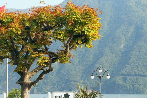17.09.7653а. Приметы осени в Лугано..jpg