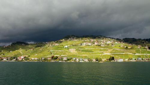 17.09.4855а. Террасные виноградники Лаво..jpg