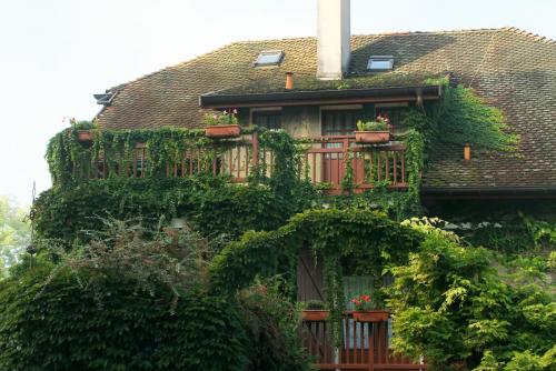 17.09.5413а. Дворец Спящей красавицы...jpg