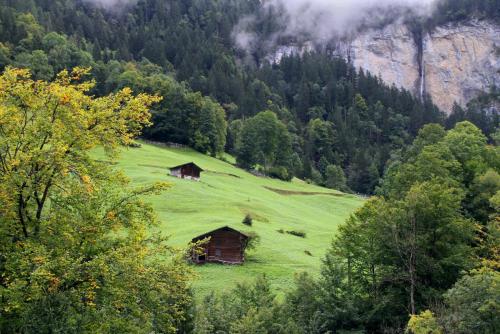 17.09.3611ас. Альпийский лужок..jpg
