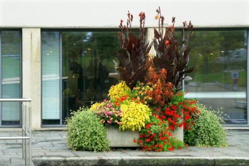 17.09.4261а. Лозанна..jpg