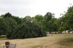 3424.Лондон.Гайд парк (Hyde Park)