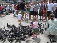 Венеция, девочка и голуби
