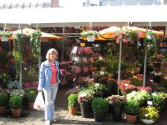 Амстердам, рынок цветов