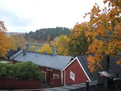 Золото листвы над крышами